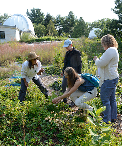 A photo of professors and students examining plants in the Edible Ecosystem garden.