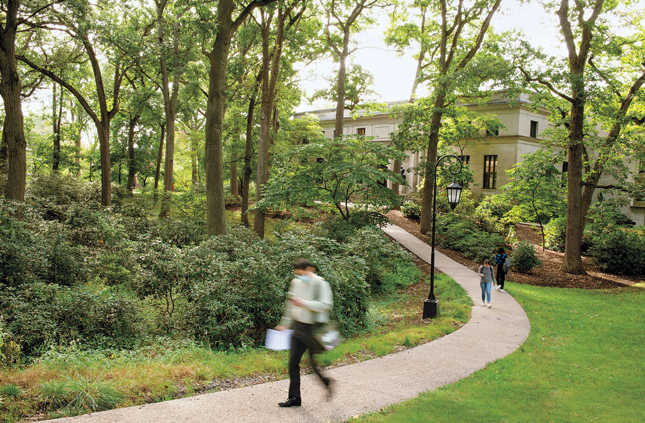 A photo shows a curving walkway from Clapp Library that borders Rhododendron Hollow.