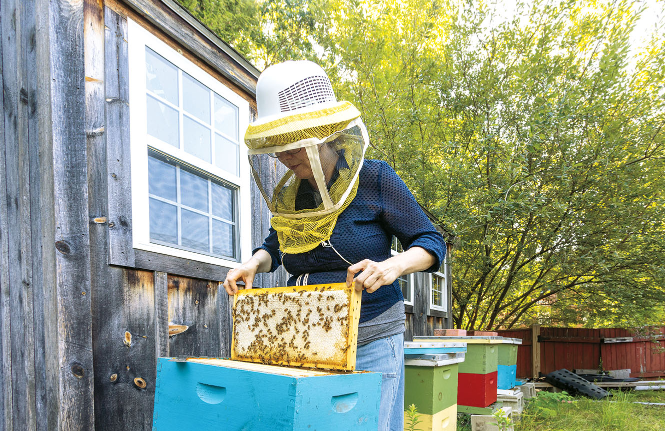 Heather Mattila checks on a hive.