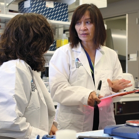 A photo shows cancer researcher Nina Bhardwaj '75 talking with a colleague at Mt. Sinai Hospital in New York City.