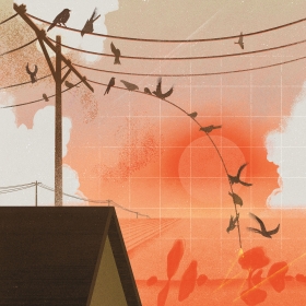 An illustration depicts birds falling from electrical wires against an orange sky.