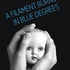 A Filament Burns in Blue Degrees book cover