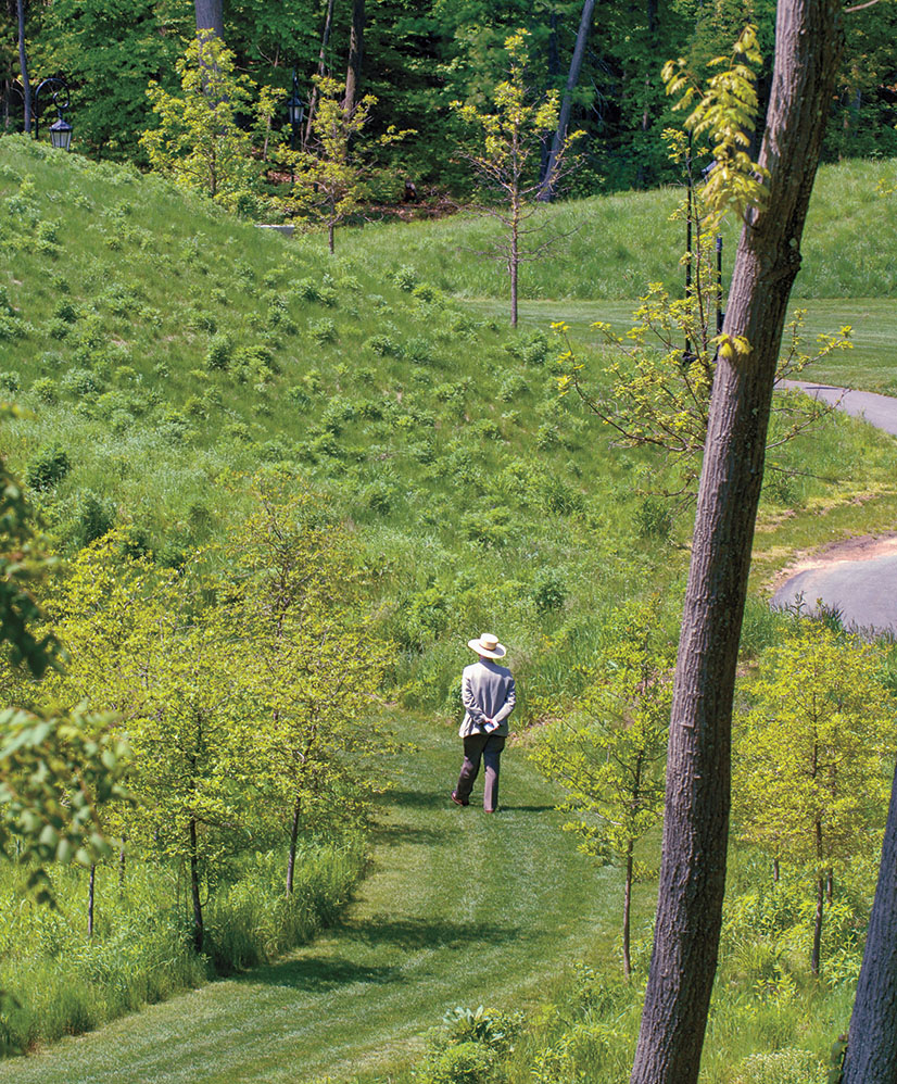 2007: Peter Fergusson, Feldberg Professor of Art, walking into the restored Alumnae Valley around the time of his retirement