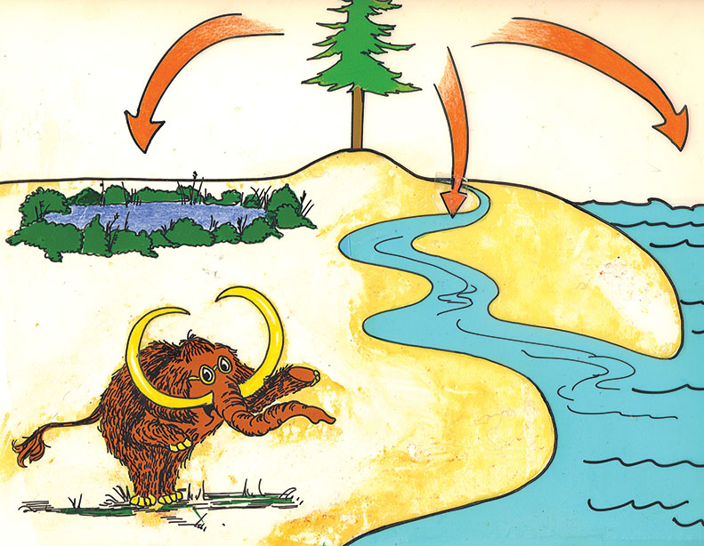 A cartoonlike drawing shows a woolly mammoth examining pollen grains
