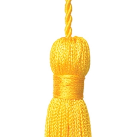 A photograph of a yellow tassel from a graduation cap