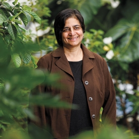 A photo portrait of Banu Subramaniam, Luella LaMer Professor of Women’s and Gender Studies