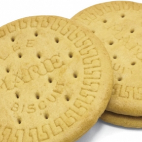 Photograph of two "Marie Biscuits", aka vanilla cookies