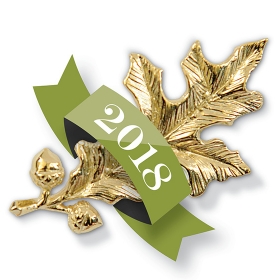 A photo of the gold oak-leaf pin presented to Achievement Award Winners, wrapped in a 2018 banner.