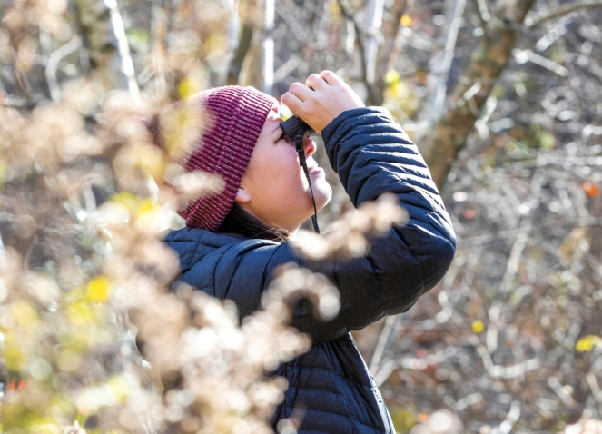 Photograph of Kristine Meader ’21 among the trees on campus, wearing a down jacket and red knit cap, using binoculars to look for birds