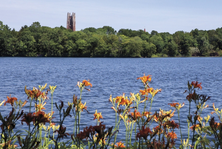 A photo of Lake Waban with tiger lilies in the foreground and Galen Stone Tower in the background.