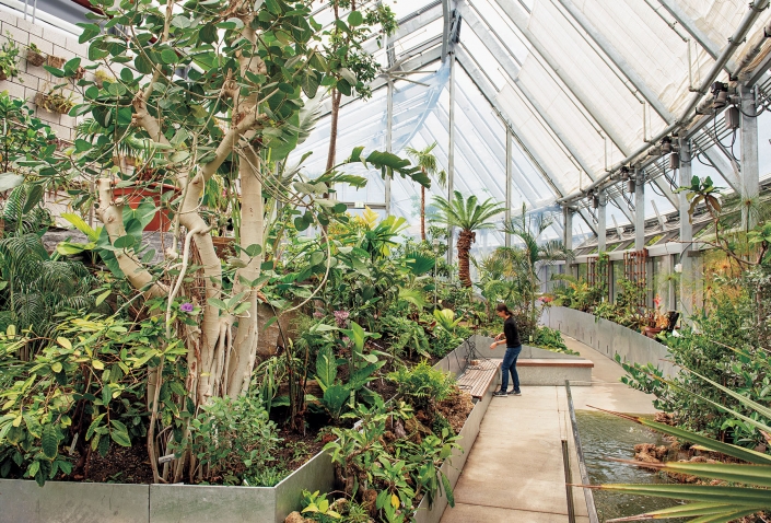 A photo inside the Global Flora conservatory shows a flourishing banyan tree. In the background, a student prepares to hand-water plants.