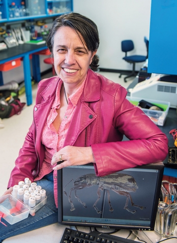 A portrait of Andrea Sequeira, a professor of biological sciences, in her lab.