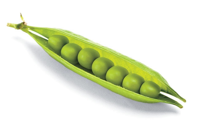 A photo of peas in a pod