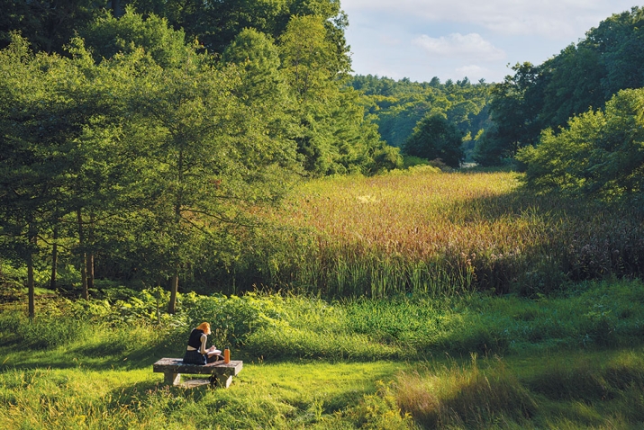 A photo shows a student sittingo n a bench in Alumnae Valley , with Lake Waban in the distance.
