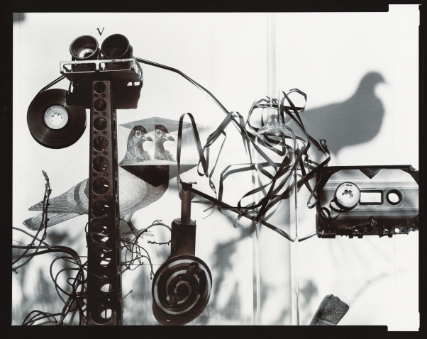 A black-and-white photograph of parts of an unspooled cassette tape and recording devices sitting on top of an image of pigeons, with dramatic shadows cast by the devices