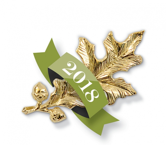 A photo of the gold oak-leaf pin presented to Achievement Award Winners, wrapped in a 2018 banner.