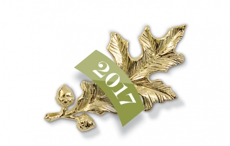 The gold oak leaf pin presented to Alumnae Achievement Award winners