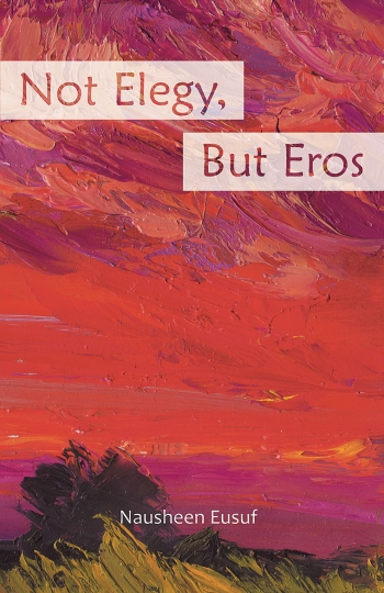 An image of the cover of Not Elegy But Eros shows an impressionistic painting of a seaside landscape in a brilliant red sunset.