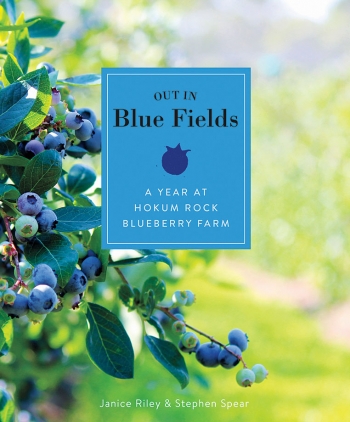 The cover of Out in Blue Fields: A Year at Hokum Roack Blueberry Farm, depicts a ripening blueberry bush.