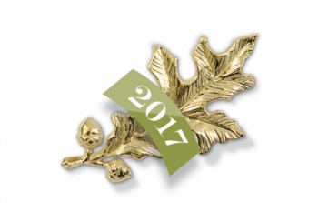 The gold oak leaf pin presented to Alumnae Achievement Award winners