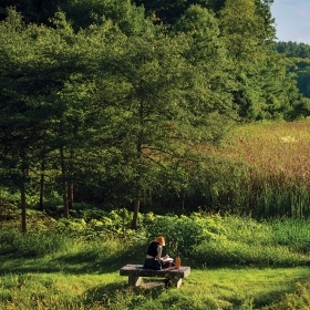 A student studies on a bench overlooking wetlands in Alumnae Valley, with Lake Waban in the distance.