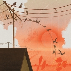 An illustration depicts birds falling from electrical wires against an orange sky.
