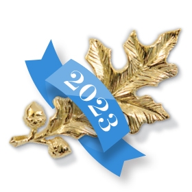 A photo of the gold oak leaf pin awarded to AAA recipients, decorated with a blue banner saying 2023