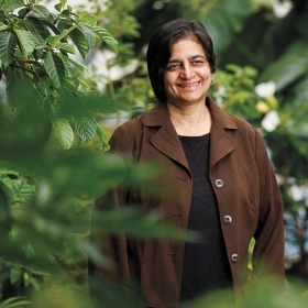 A photo portrait of Banu Subramaniam, Luella LaMer Professor of Women’s and Gender Studies